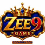 ZEE9 Game