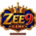 ZEE9 Game