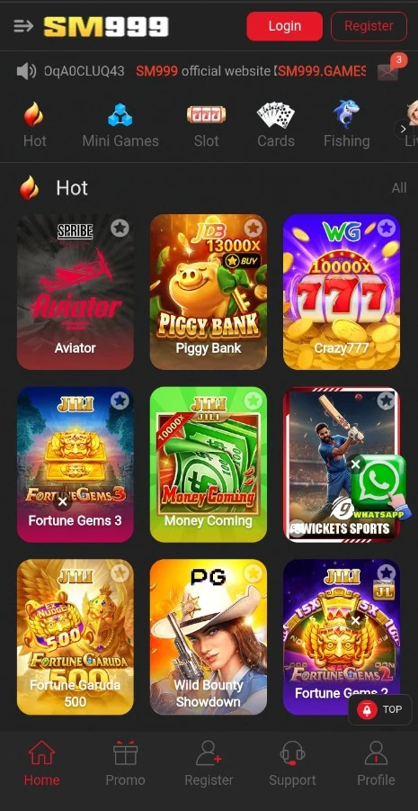 SM999 Game