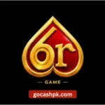 6R Game