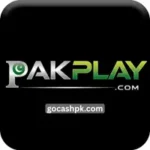 PakPlay Game