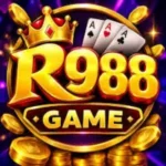 R988 Game